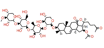 Cucumarioside A12